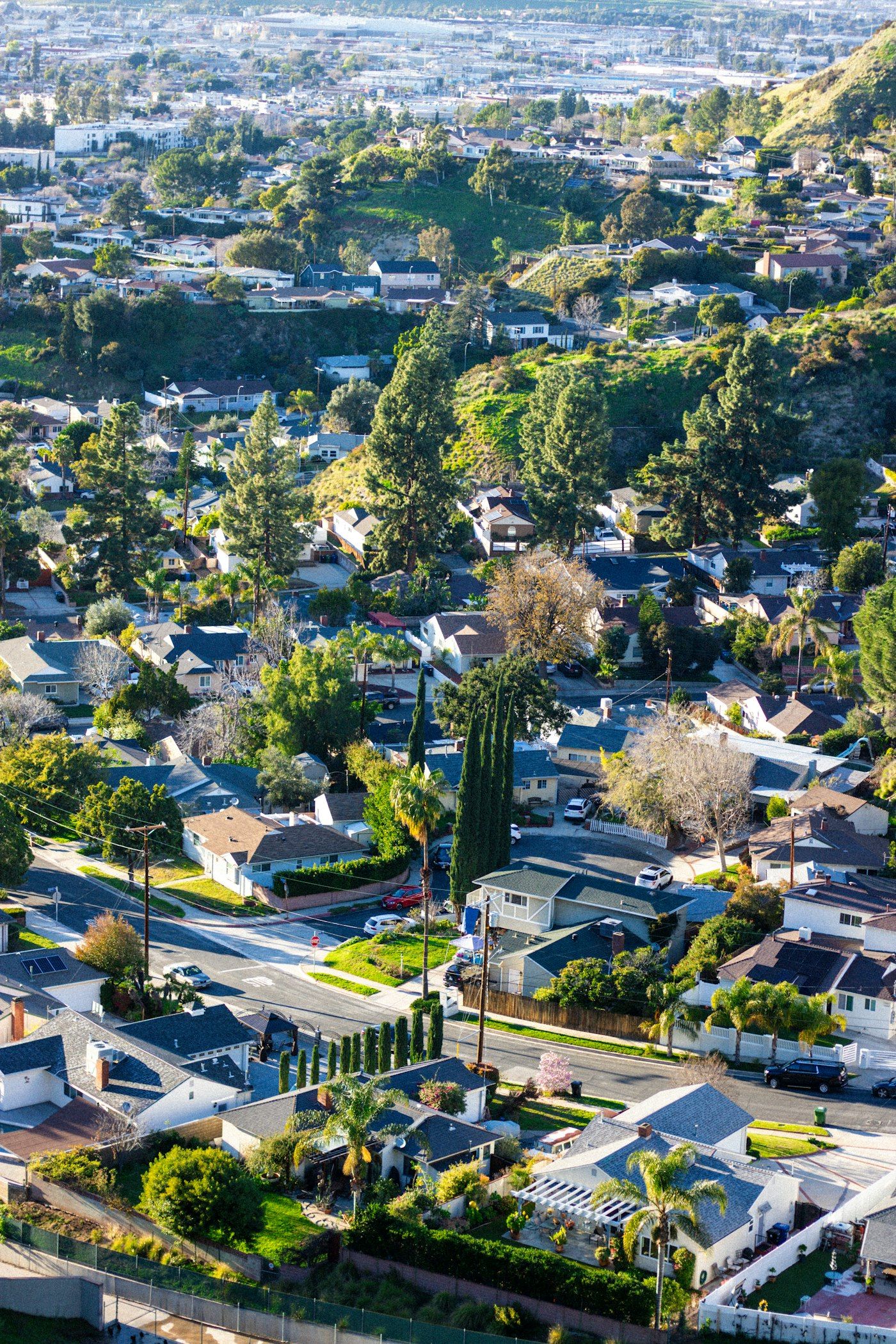 Los Angeles hillside neighborhood
